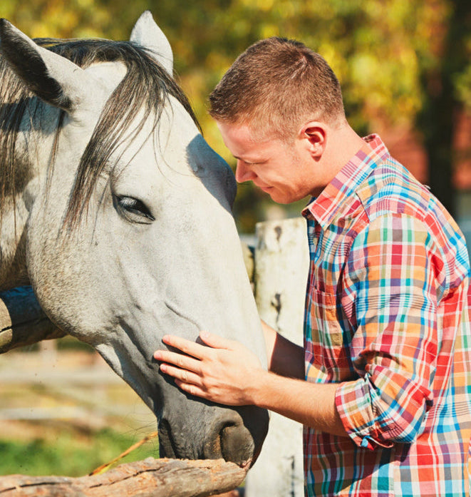 Man petting horses face