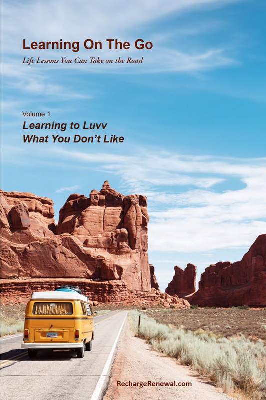 Learning On The Go #1 - Learning to Luvv What You Don’t Like